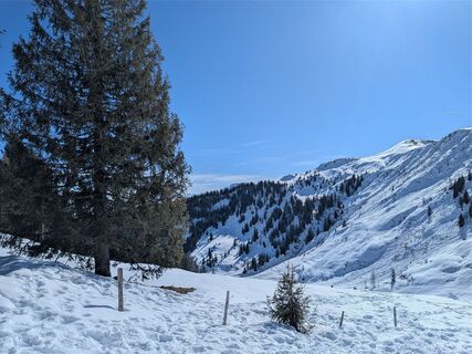 Fotografija s spletne strani toran na poti