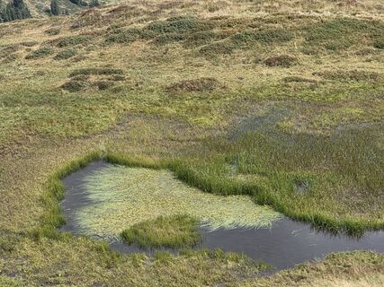 Fotografija s spletne strani Gudrun Lippert na poti