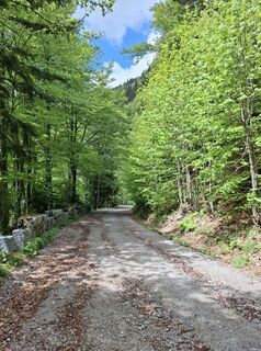 Foto von Miha Gros entlang der Tour