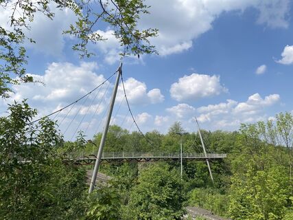 Foto de Babita a lo largo del recorrido