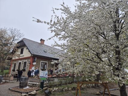 Foto de Christian Wildfeuer a lo largo del recorrido