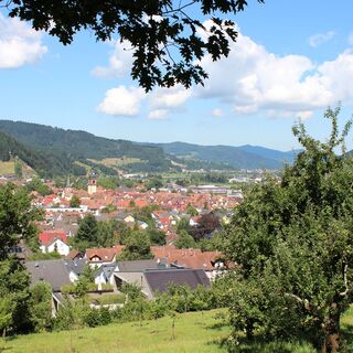 Blick vom Rotkreuz auf Haslach