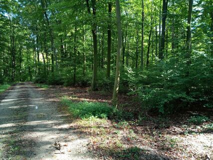 Foto von bremsrad entlang der Tour