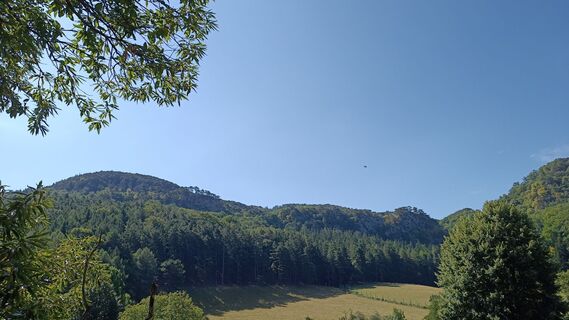 Foto von Bergpirat entlang der Tour