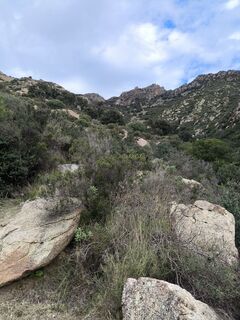 Foto de CPQS a lo largo del recorrido