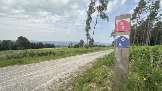 Zdjęcie z Fabrice Neulens wzdłuż trasy