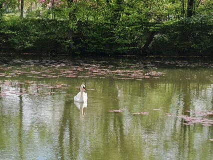 Fotografia z Aleksander Jan na trase
