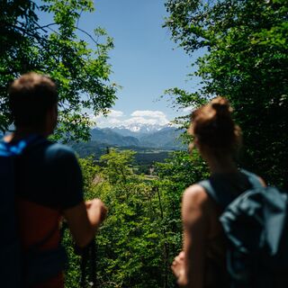 Bliack auf die Steienr Alpen von der Gracarca