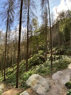 Fotografia z Marc Claessen na trase