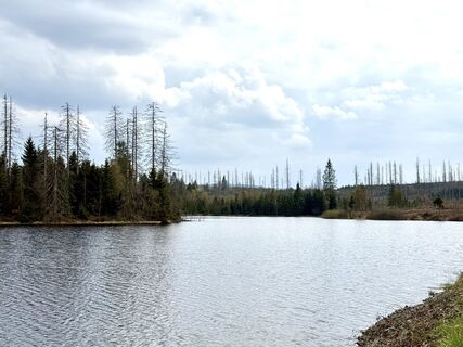 Fotografia z Norbert Herbig na trase