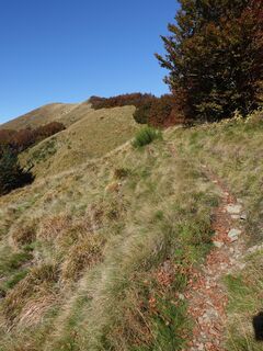 Fotografie z Lorenzo L. na trase