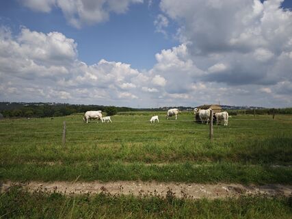 Photo de Björn Heun le long du parcours
