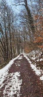Fotografija s spletne strani Huba Csicsics na poti