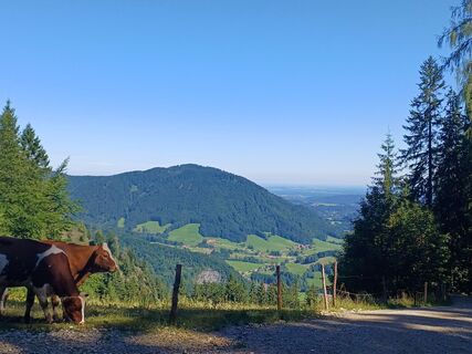 Photo de Marion Sperlich le long du parcours