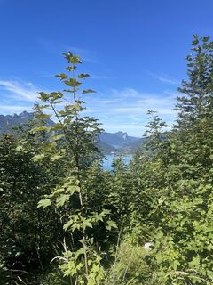 Foto von Birgit Fritsch entlang der Tour