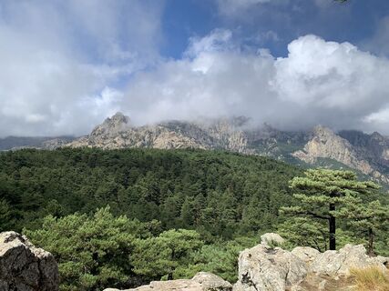 Fotografia z Jako Koel na trase