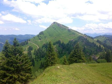 Seelekopf mit Blick zum Hochgrat