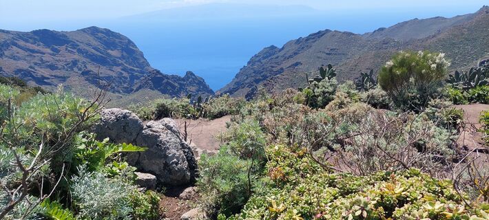 Foto von andrea.steindl entlang der Tour