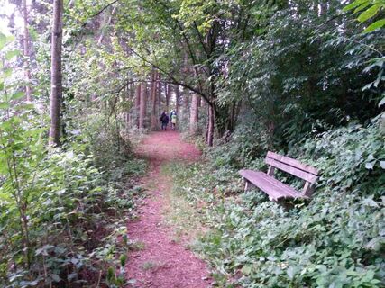 Wildwiesenweg bei Passail_Naturpark Almenland_Oststeiermark