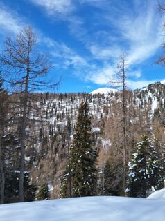 Foto de Dagmar Hofer a lo largo del recorrido
