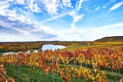 DSGVO WT L wenstein Breitenauer See Herbst