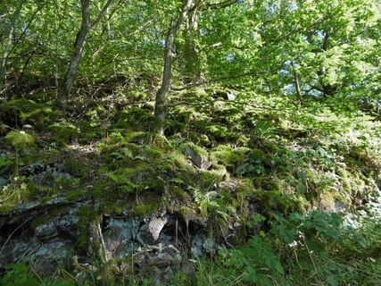 Entlang des Sandstein-Erlebnisweges