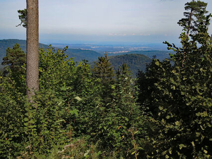 Aussicht von der Hahnenfalzhütte