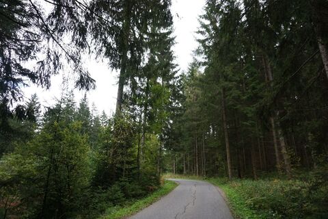 saugmoarunde_img_42112431