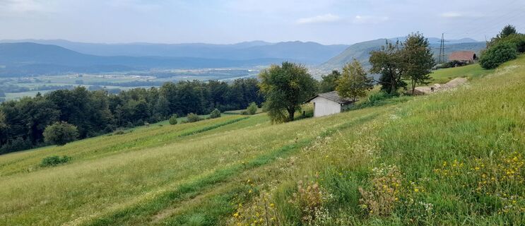Fotografija s spletne strani Milena Dragoš na poti