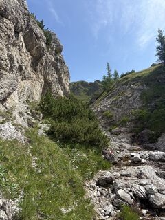 Foto de Andreas Kogler a lo largo del recorrido