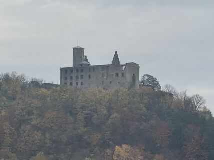 Foto da Norbert Herbig lungo il tour