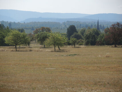 Weitreichende Landschaft um Spessart
