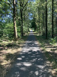 Photo de Johan Hoogendijk le long du parcours