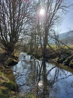 Foto da Sabrina Hackel lungo il tour