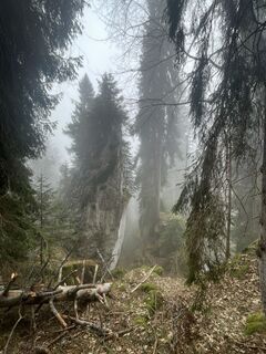 Foto von Linus entlang der Tour