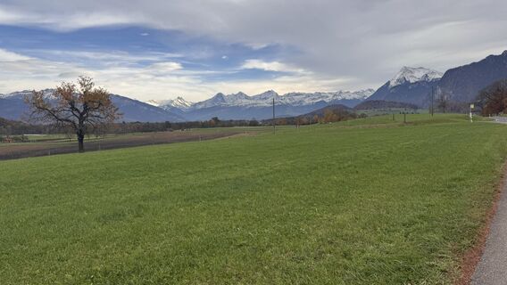 Photo de peter_oe le long du parcours