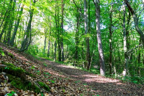 Unterwegs zur Kreuzberghütte - Meiningen
