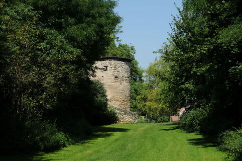 Zemljevid