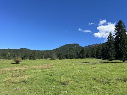 Foto de Henryk Pietrzyk a lo largo del recorrido