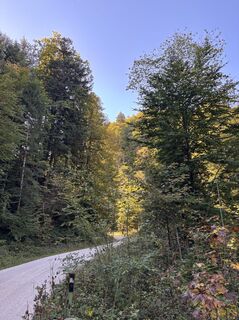 Foto von Heinz Sperl entlang der Tour