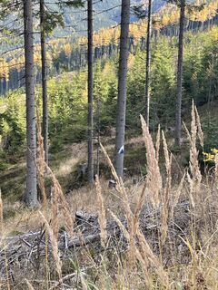 Foto von Herwig Panhofer entlang der Tour