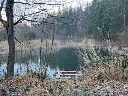 Titelfoto: Grüner See am Allander Wanderweg Nr. 1