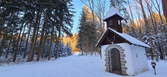Foto de Deutsch Margit a lo largo del recorrido
