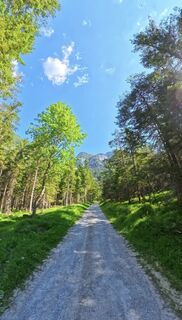 Wanderweg zum Gradenbachwasserfall