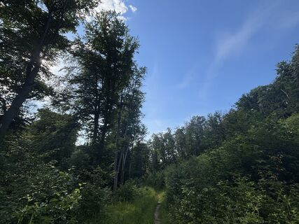 Foto von Várhelyi Alicia entlang der Tour