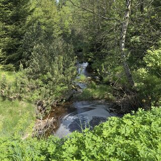Fotografie z Steffen Kiesel na trase