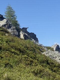 Photo de Petra Seidner le long du parcours