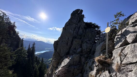 Foto von Mountain Cat ? ⛰️ entlang der Tour