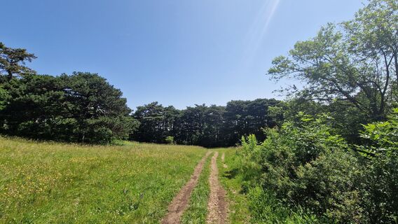 Foto von EP87 entlang der Tour