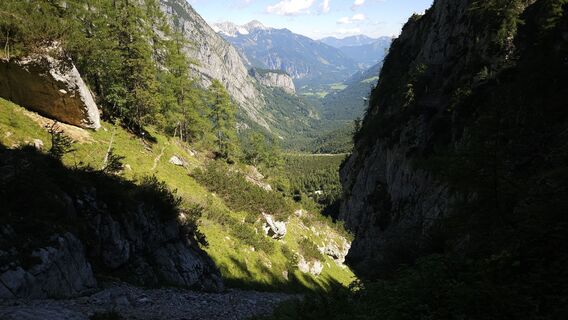 Foto från kriessda under resans gång